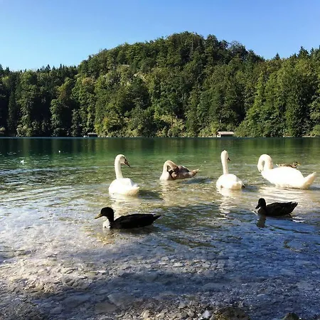 Gaestehaus Seeklause Pensjonat Schwangau