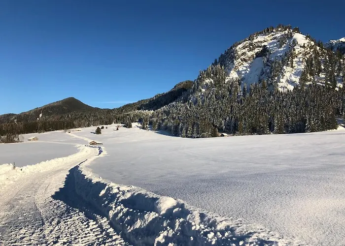 Gaestehaus Seeklause Konukevi Schwangau